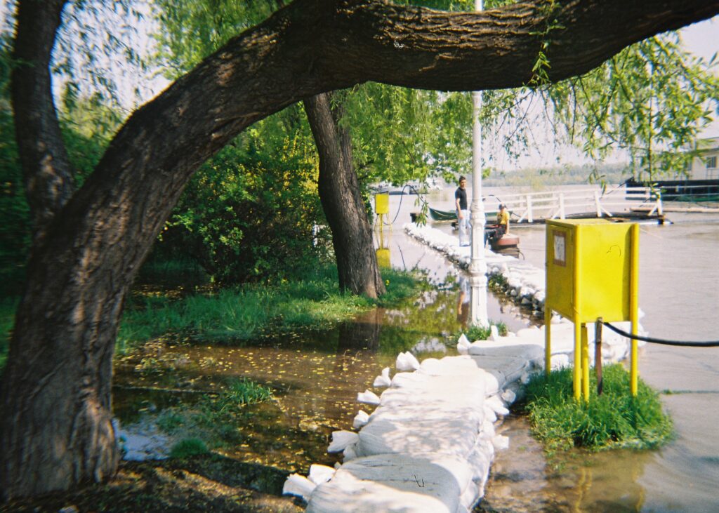 1096709276_992139e725_o