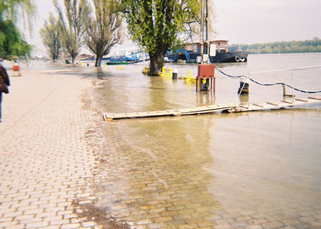 1096709826_dfae1d20a8_o