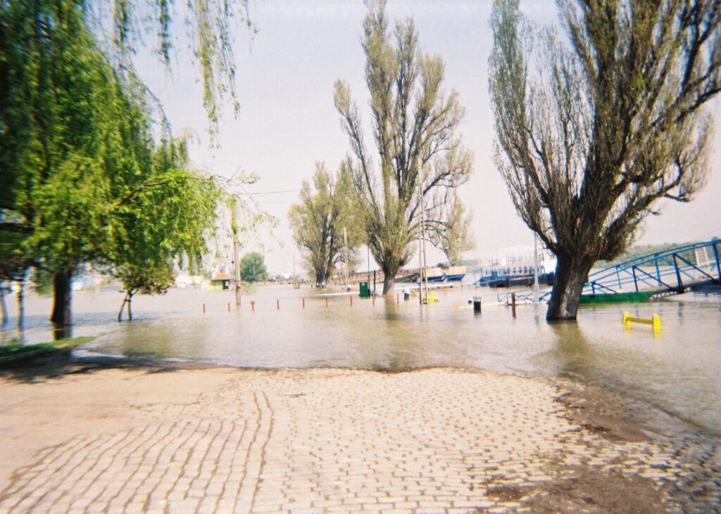 1096709858_042fe68bc3_o